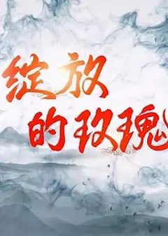 绽放的玫瑰
