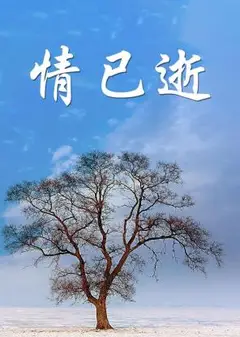 情已逝