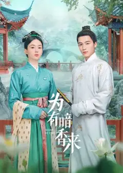为有暗香来