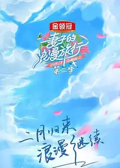 妻子的浪漫旅行第二季