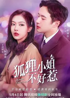 狐狸小姐不好惹