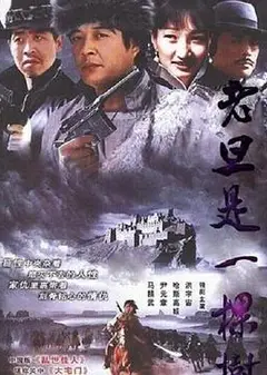 老旦是一棵树