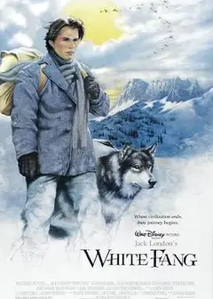 雪地黄金犬