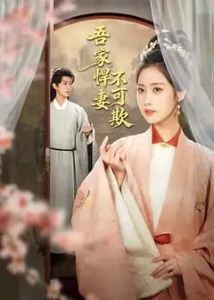 吾家悍妻不可欺