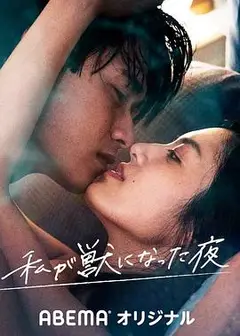 我放纵情欲的夜晚