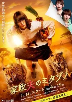 家政夫三田园 第7季