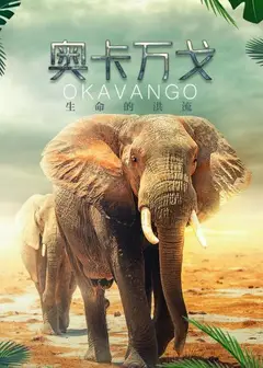 奥卡万戈：生命的洪流