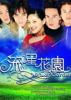 流星花园2001