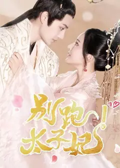 别跑太子妃