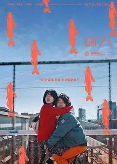 鲶鱼美琪