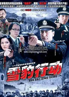 雪豹行动