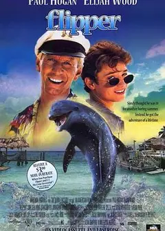 海豚的故事1996