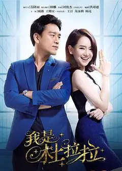 我是杜拉拉[DVD版]
