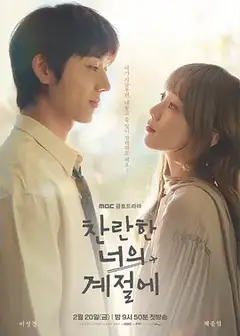 在你的灿烂季节