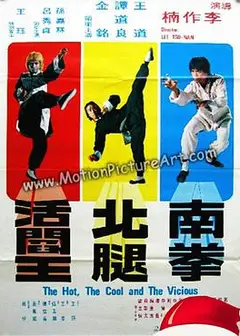 南拳北腿活阎王