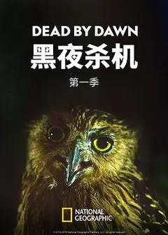 黑夜杀机第一季