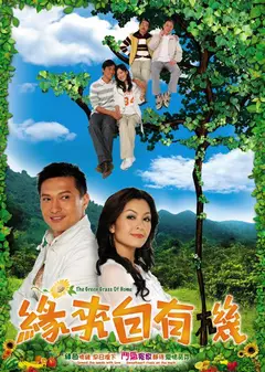 缘来自有机
