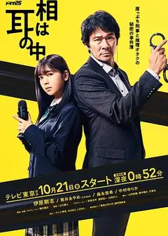 真相在耳中