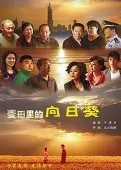 葵花进城