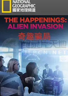 奇趣骗局
