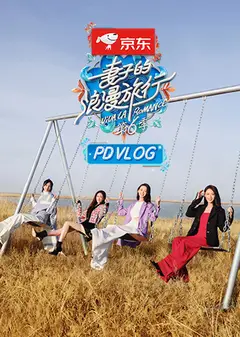 妻子的浪漫旅行第六季PDvlog