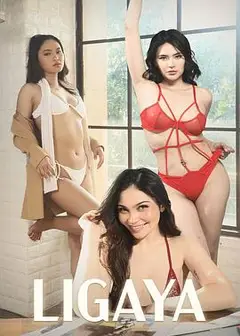 欢愉的代价
