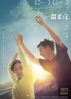 温柔壳