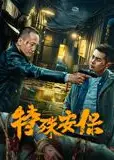 特殊安保