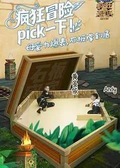 疯狂的麦咭第五季