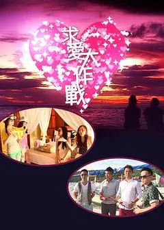 求爱大作战2013