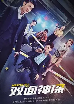 双面神探