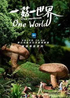 一菇一世界