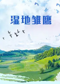 湿地雏鹰