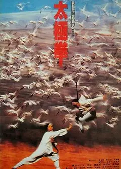 功夫小子闯情关