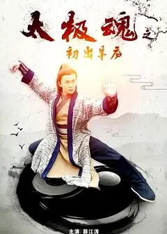 太极魂之初出茅庐