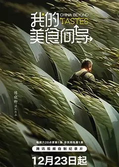 我的美食向导