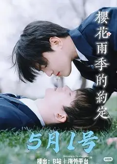 樱花雨季的约定