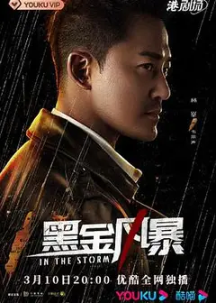 黑金风暴 粤语版