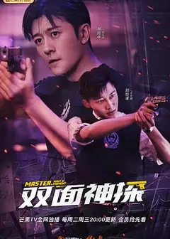 双面神探（速看版）
