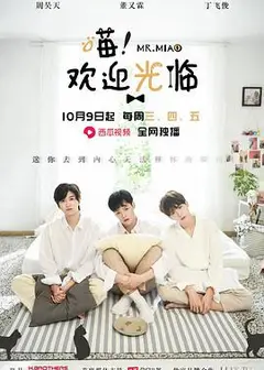 喵欢迎光临