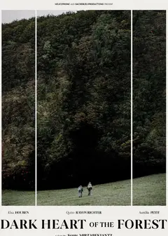 森林的黑暗心脏