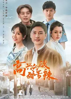 高兴的酸甜苦辣