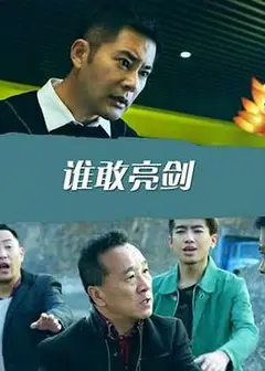 谁敢亮剑
