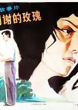 不该凋谢的玫瑰
