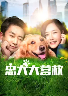 忠犬大营救