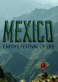 墨西哥：地球生命的狂欢