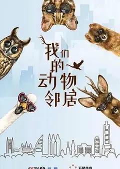 我们的动物邻居粤语