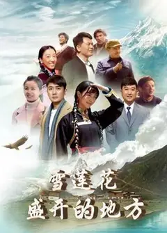 雪莲花盛开的地方