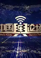 中国舆论场