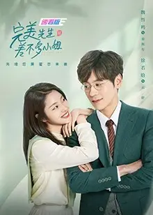 完美先生和差不多小姐速看版